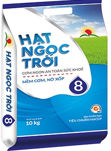 HatNgocTroi-So8-1-1