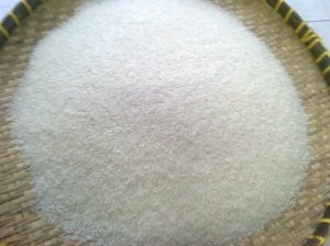 Hạt gạo OM 7347 trong, thon, dài, dẻo cơm, hàm lượng protein cao.