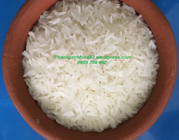 Cơm gạo ST25 (gạo ngon nhất thế giới) nấu bằng niêu đất
